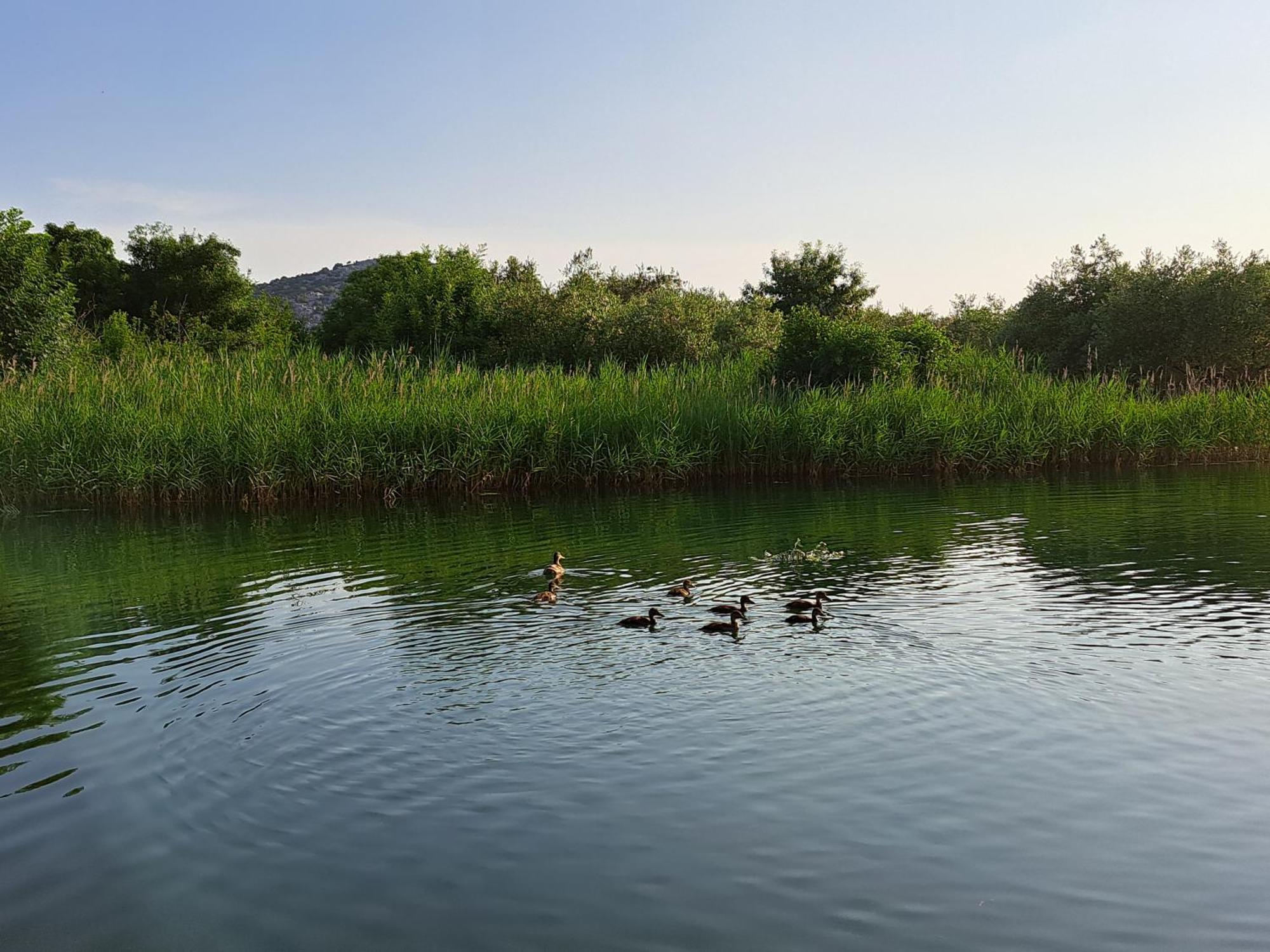 Apartmani Mostina Near River Ploce  Extérieur photo